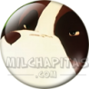 Chapa de Heidi: Niebla (De Cerca)