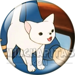 Chapa de Heidi: Gatito Blanco de Heidi