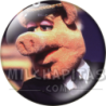 Chapa de Teleñecos: Link Hogthrob (Capitán)