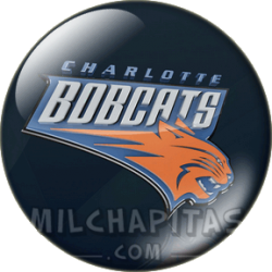 Logo Charlotte Bobcats