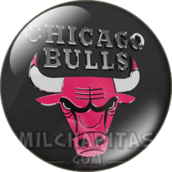 Logo Chicago Bulls