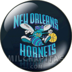 Logo New Orleans Hornets