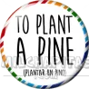 Plantar un pino SP