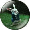 Conejo blanco